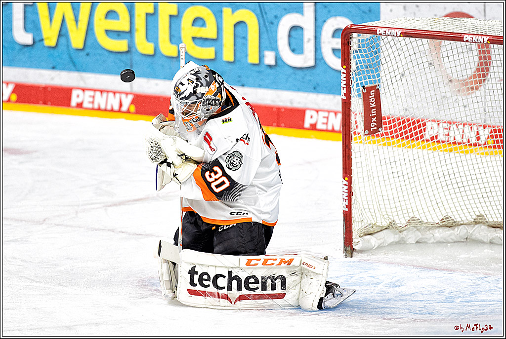 PENNY DEL;  Kölner Haie - Löwen Frankfurt; Köln, 01.12.2022